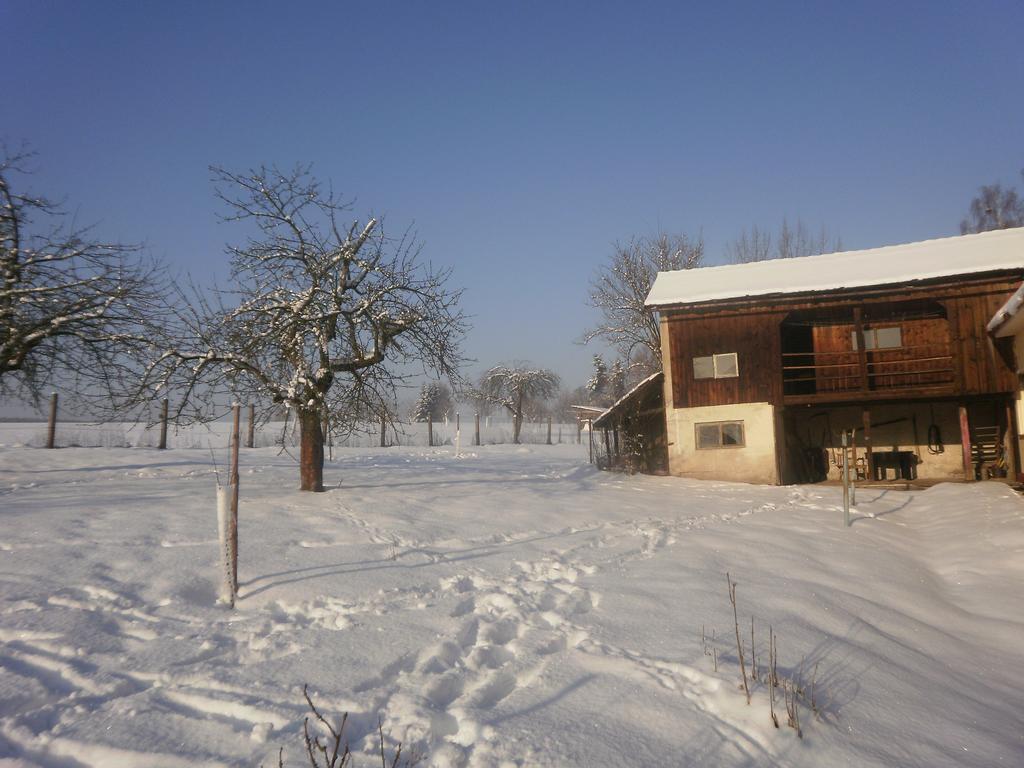 Familiehuis Fuchs Horni Branna Dış mekan fotoğraf